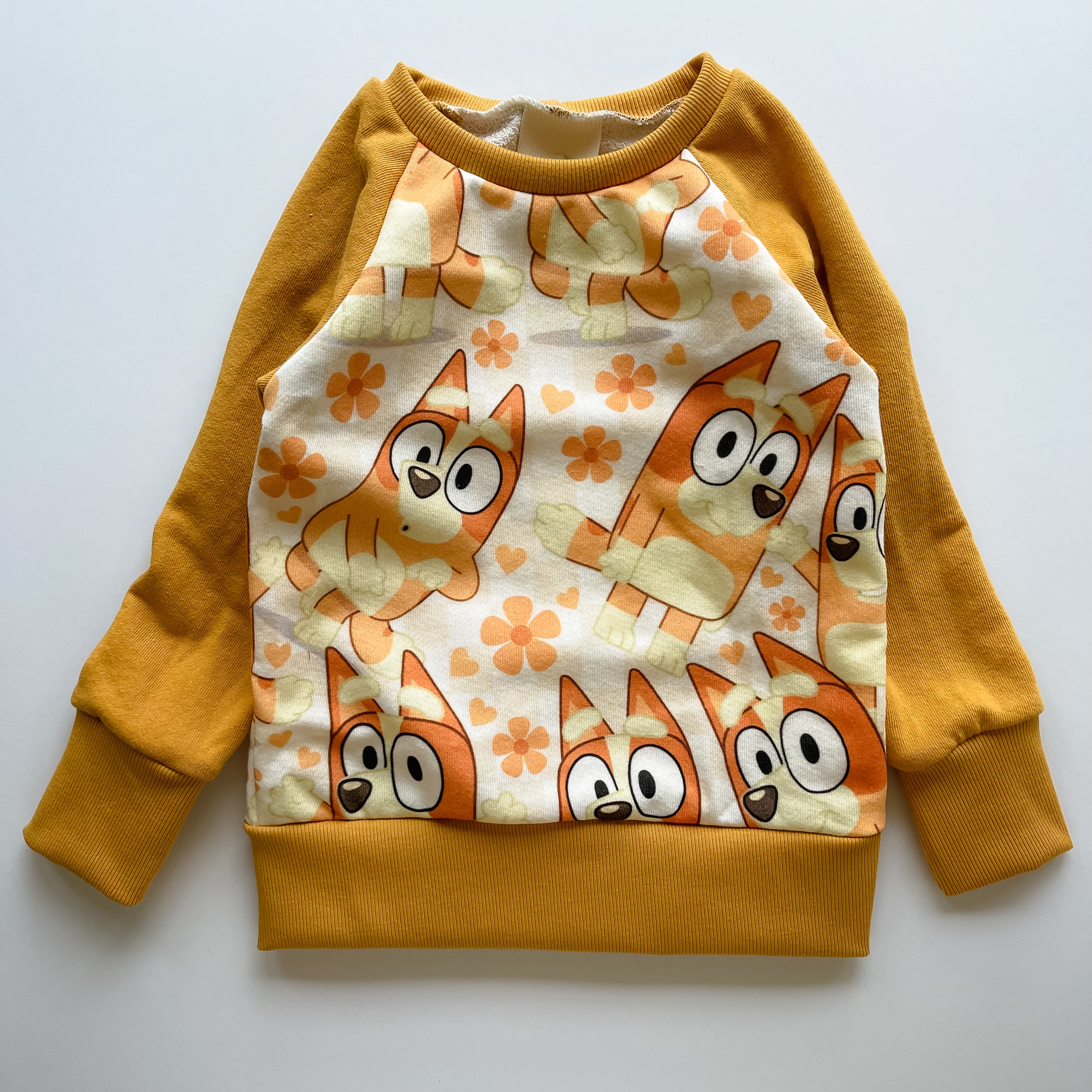 Orange Dog Raglan Sweater